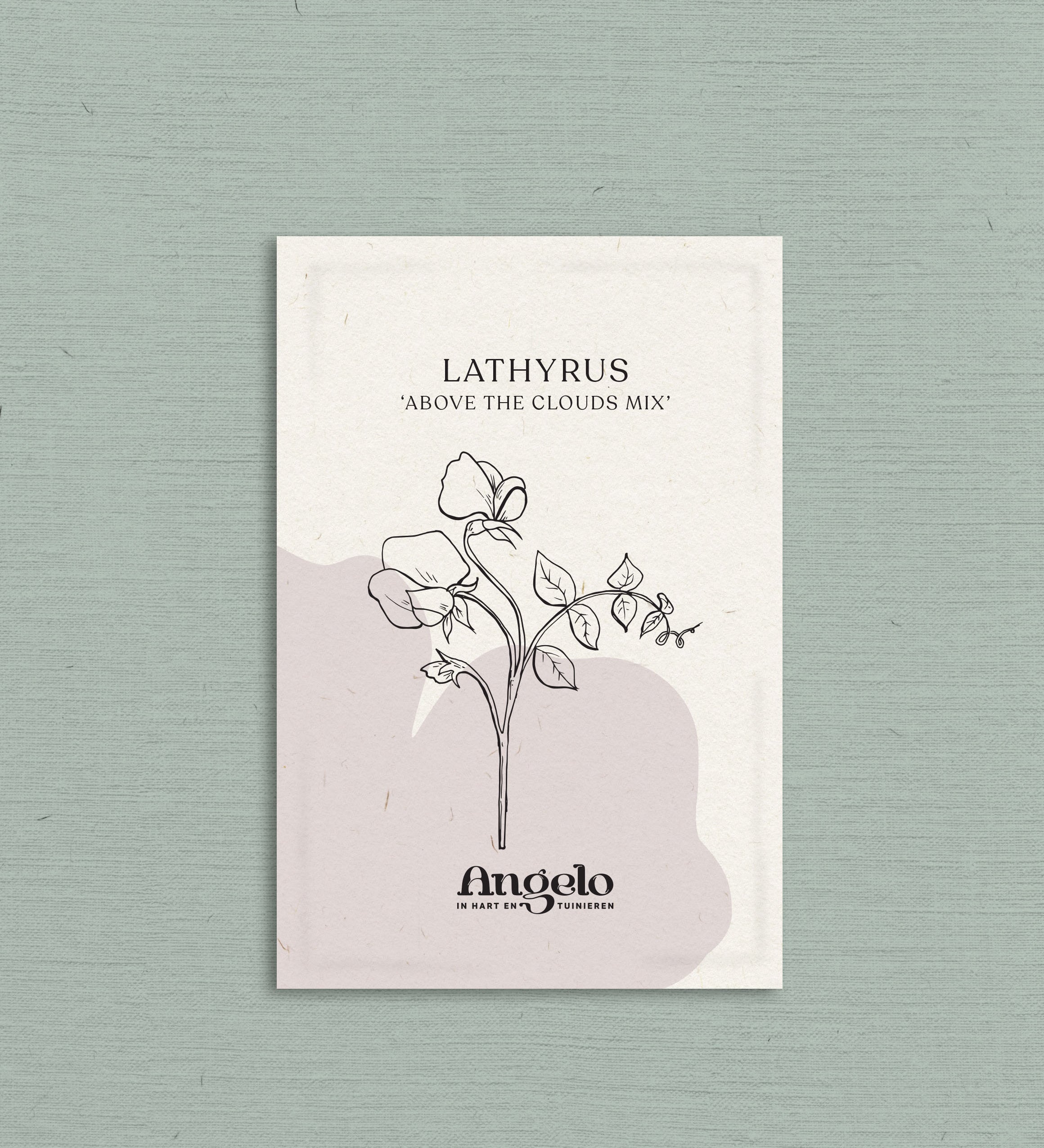 Lathyrus odoratus 'Above the clouds mix'-Angelo