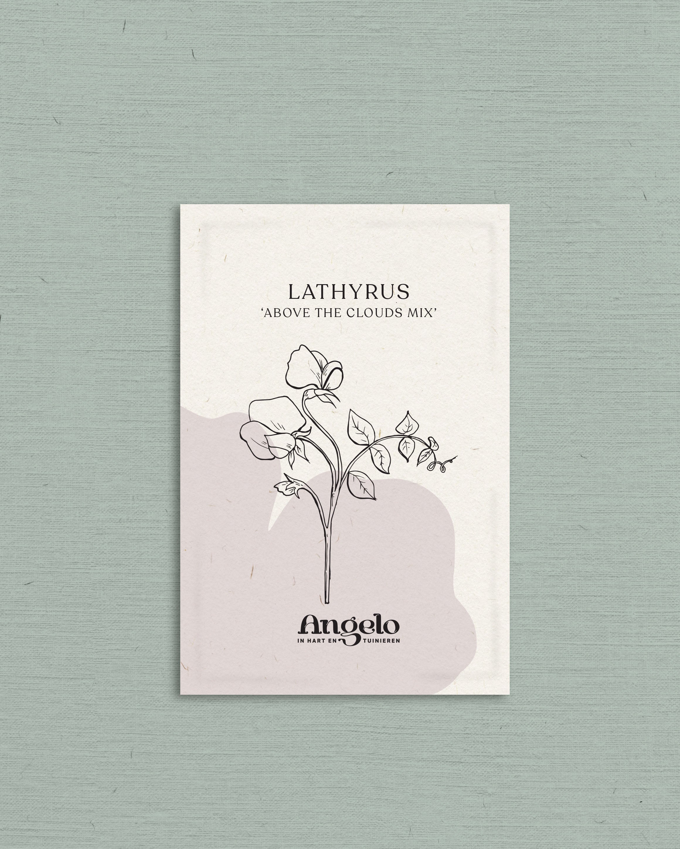 Lathyrus odoratus 'Above the clouds mix'-Angelo