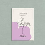 Lathyrus odoratus 'Enchanté'-Angelo