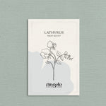 Lathyrus odoratus 'High Scent'-Angelo