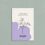 Lathyrus odoratus 'king size navy blue'-Angelo