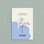 Lathyrus odoratus 'spencer blue ripple'-Angelo