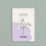 Lathyrus odoratus 'spencer pulsar'-Angelo