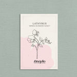 Lathyrus odoratus 'Spring Sunshine Nancy'-Angelo
