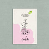 Lavatera trimestris 'Loveliness'-Angelo