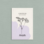 Limonium sinatum 'qis lavender'-Angelo