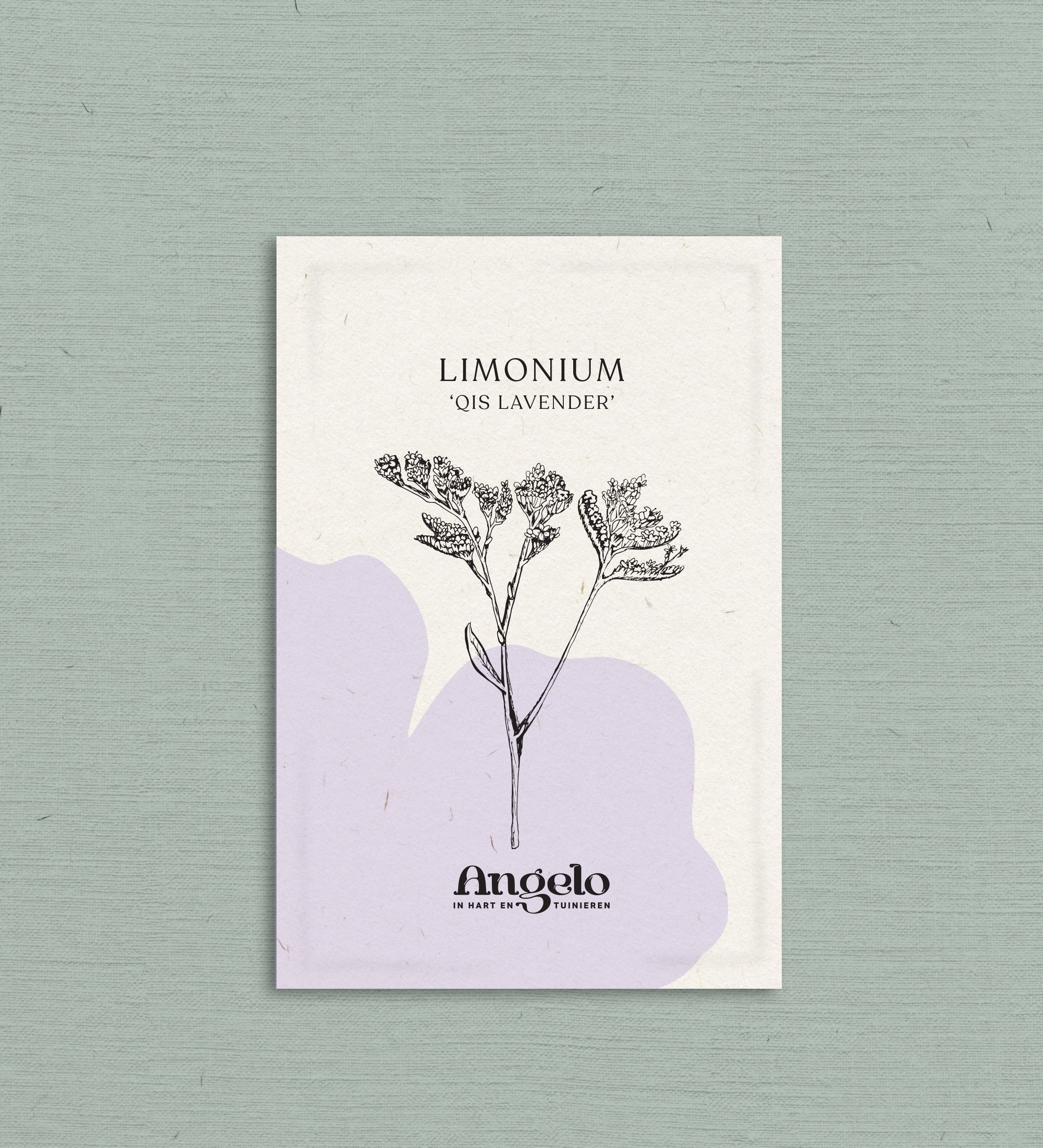 Limonium sinatum 'qis lavender'-Angelo
