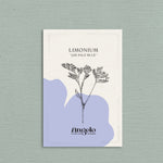 Limonium sinuatum' qis pale blue'-Angelo