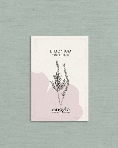 Limonium suworowii &