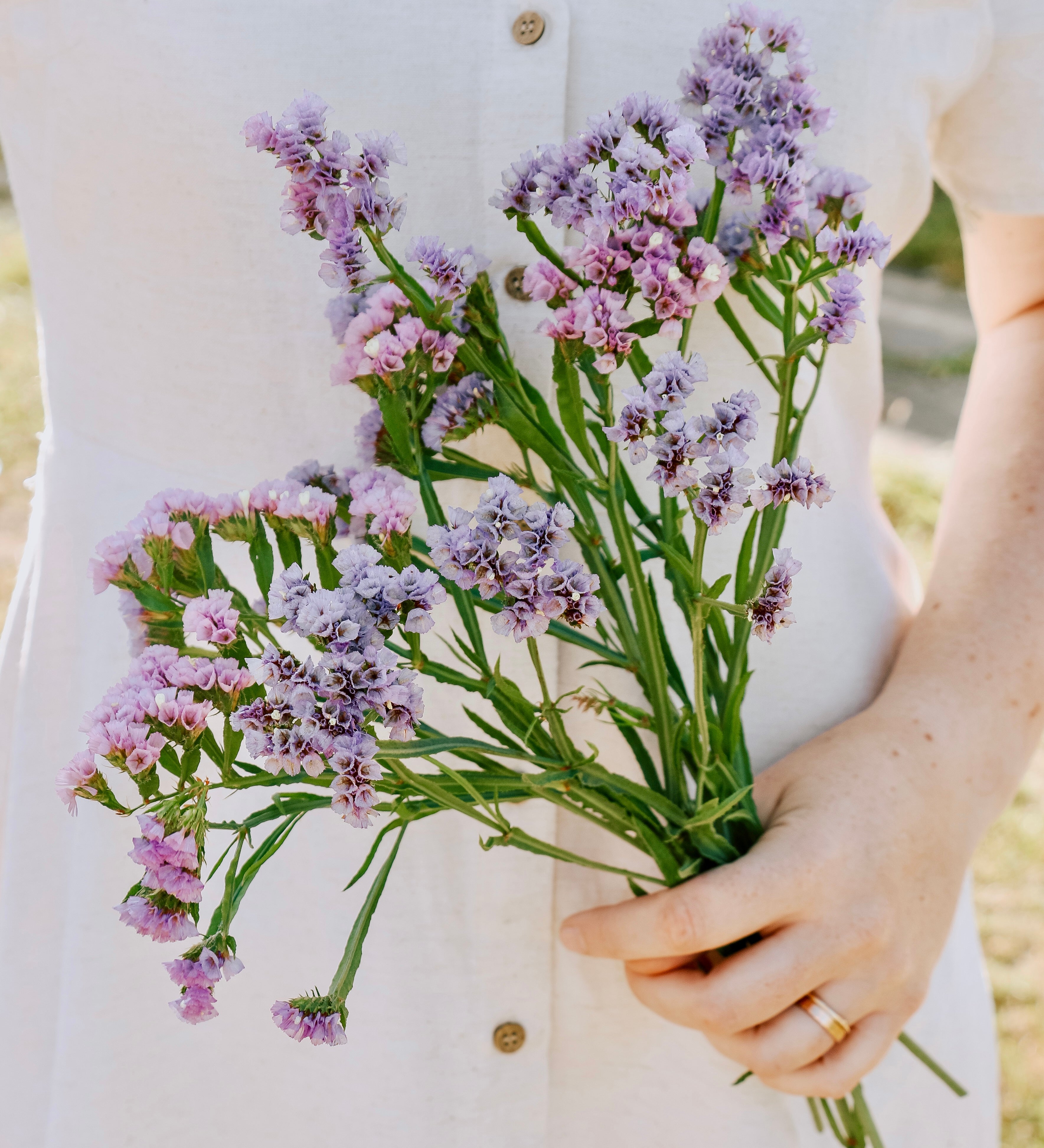 Limonium sinatum 'qis lavender'-Angelo