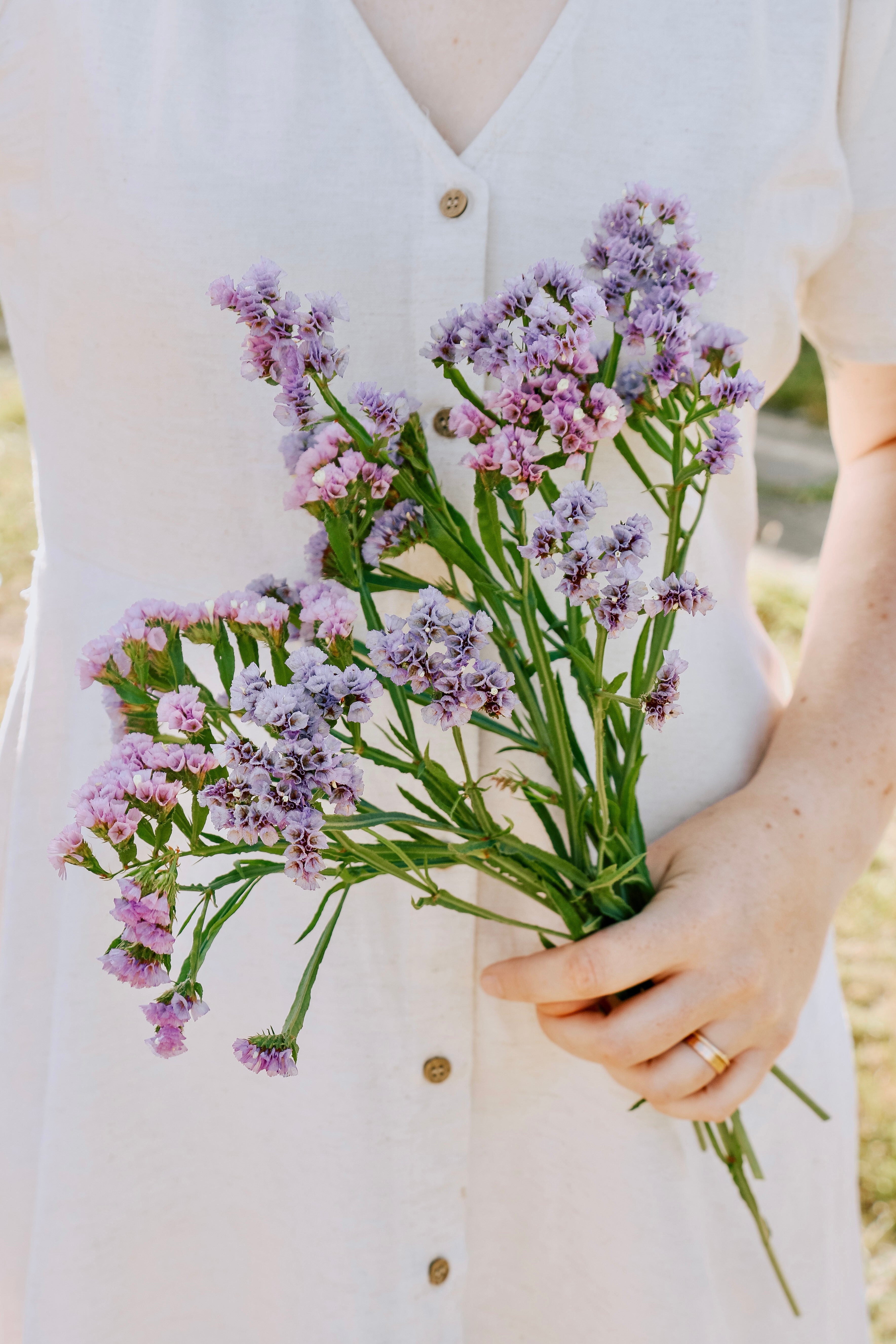 Limonium sinatum 'qis lavender'-Angelo