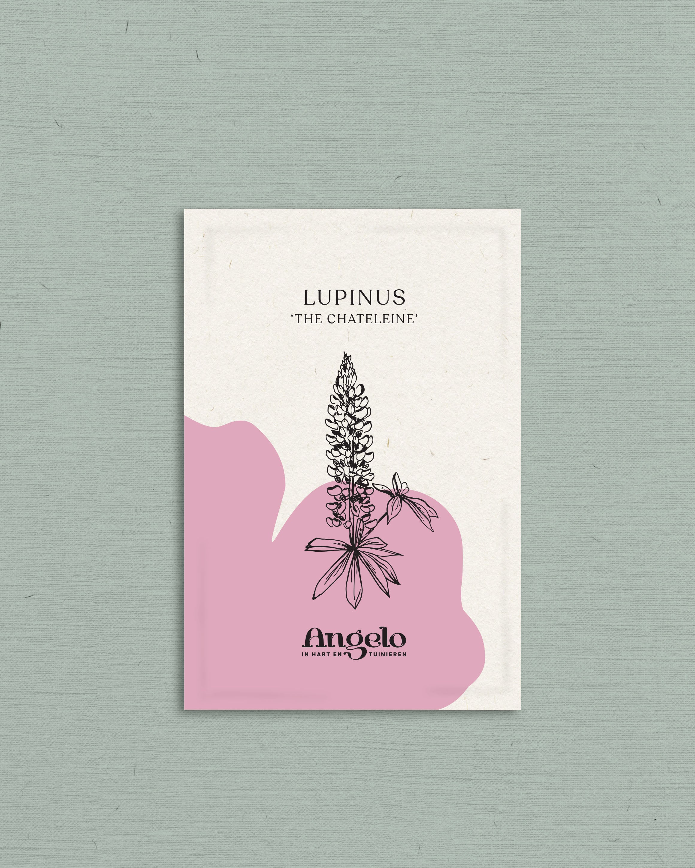 Lupinus polyphyllus &