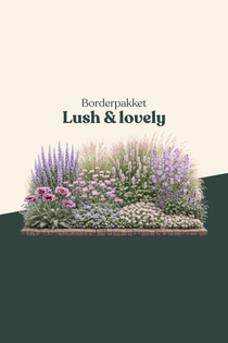 Borderpakket: Lush & Lovely-Angelo