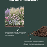 Borderpakket: Lush & Lovely