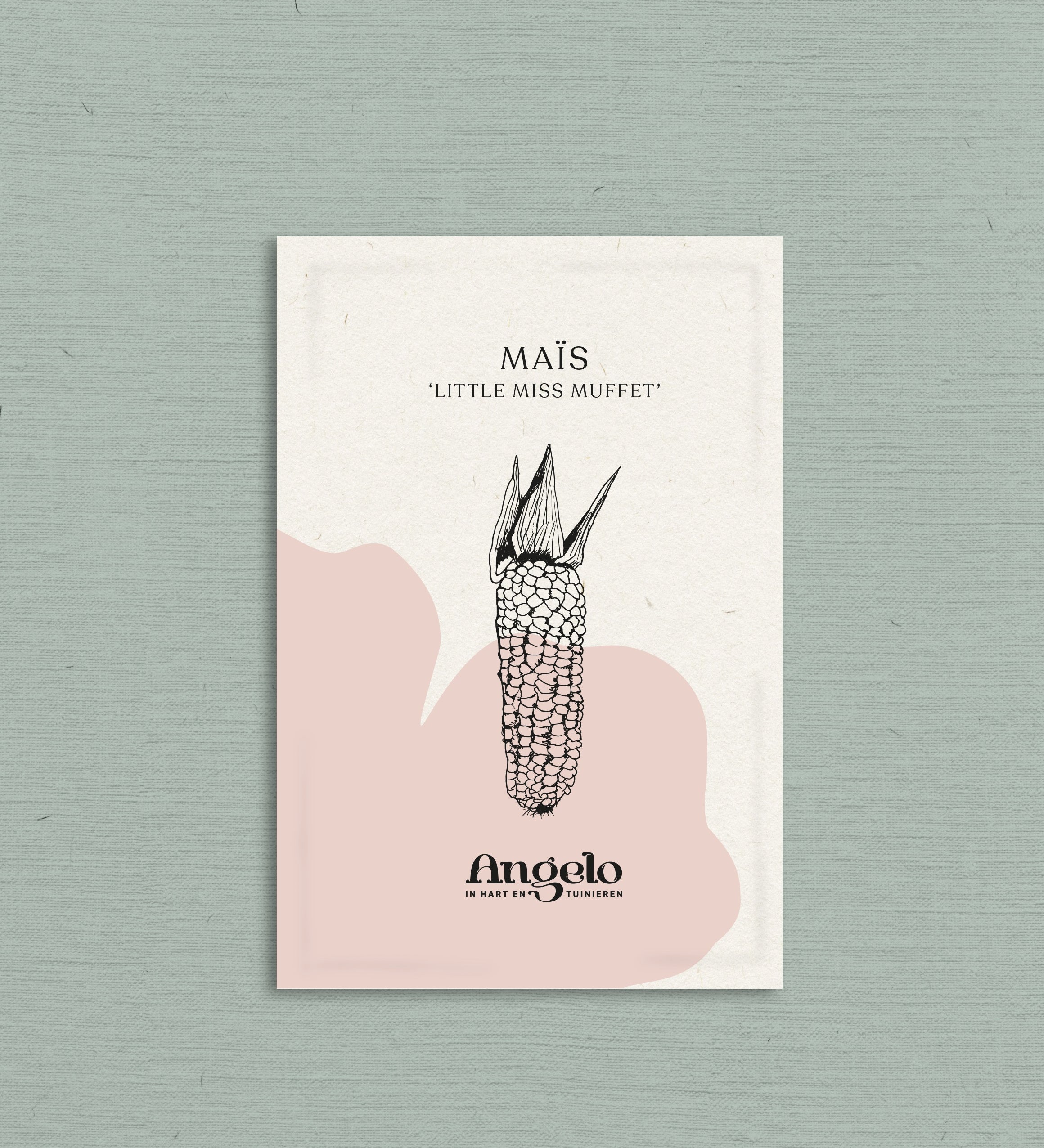 Maïs 'Little Miss Muffet'-Angelo