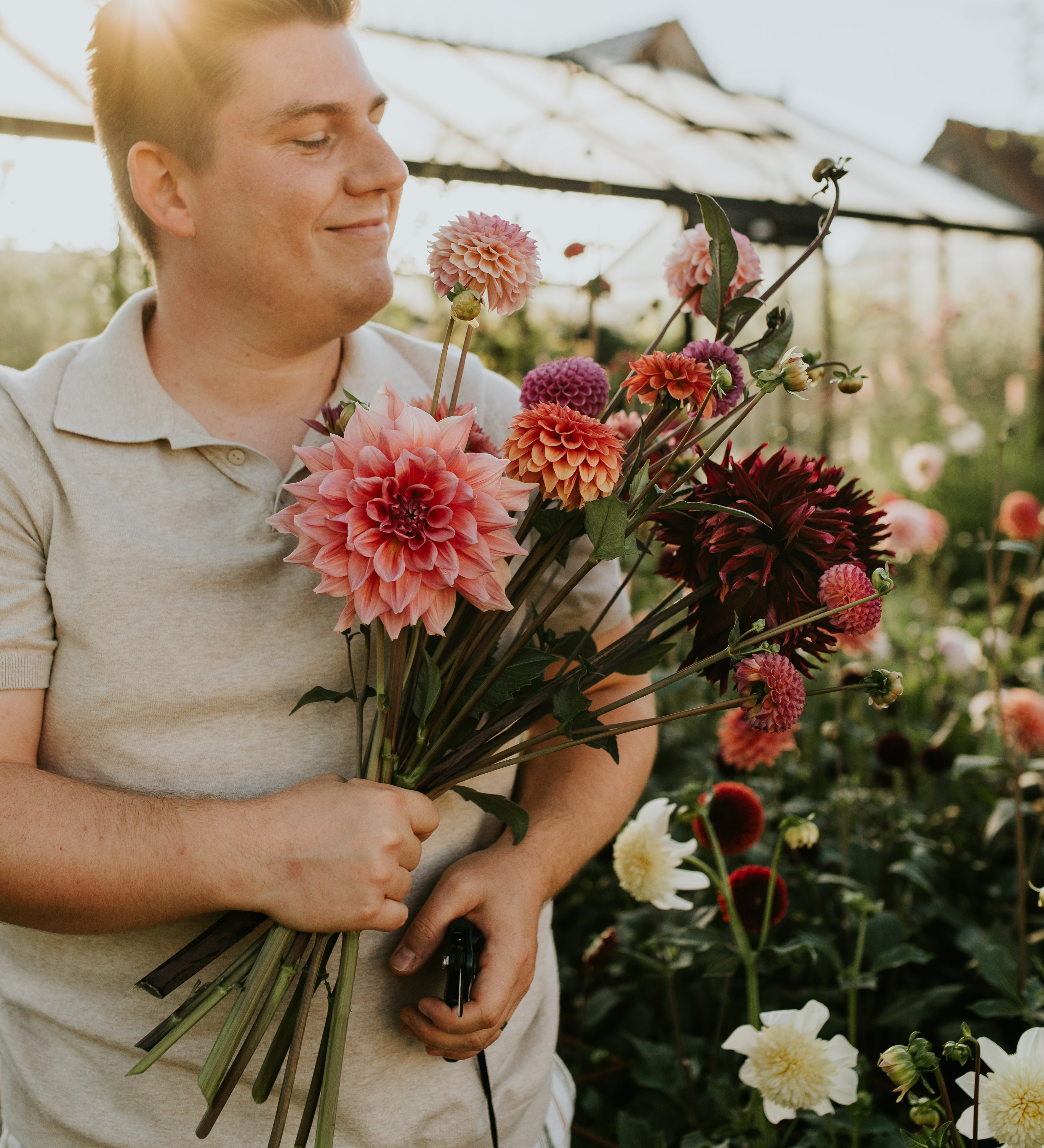 Masterclass Dahlia's Kweken-Angelo