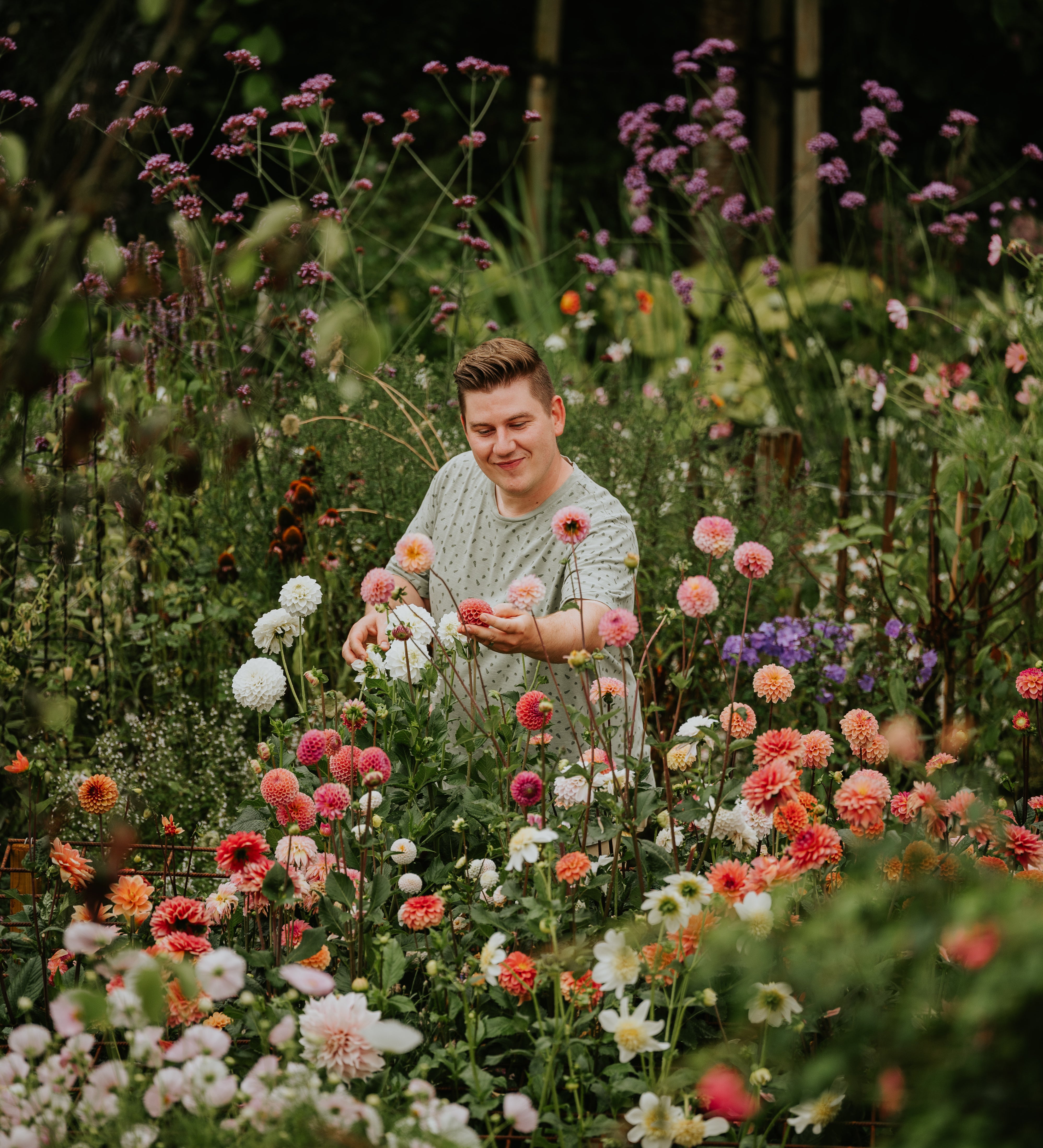 Masterclass pluktuinieren van A tot Z & Masterclass Dahlia's Kweken-Angelo