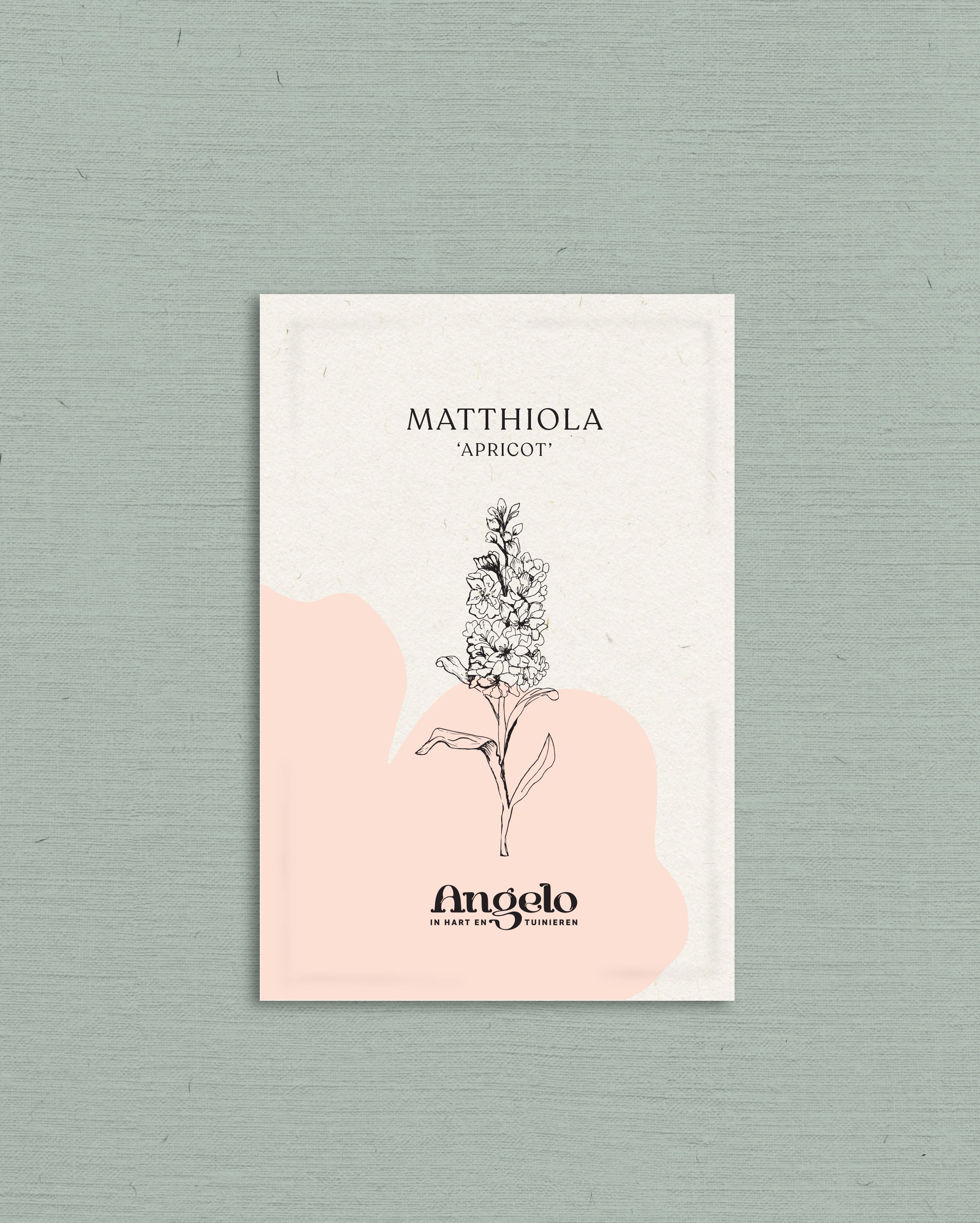 Matthiola iron &