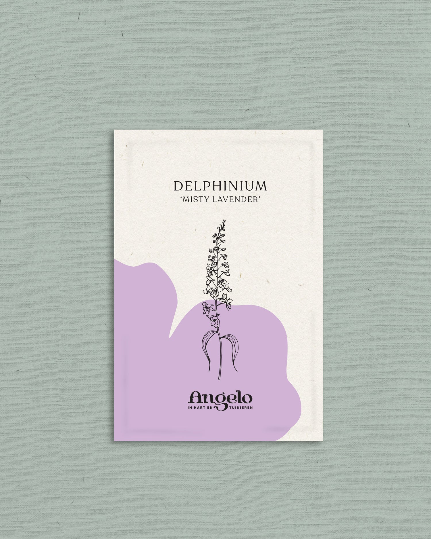 Delphinium consolida &
