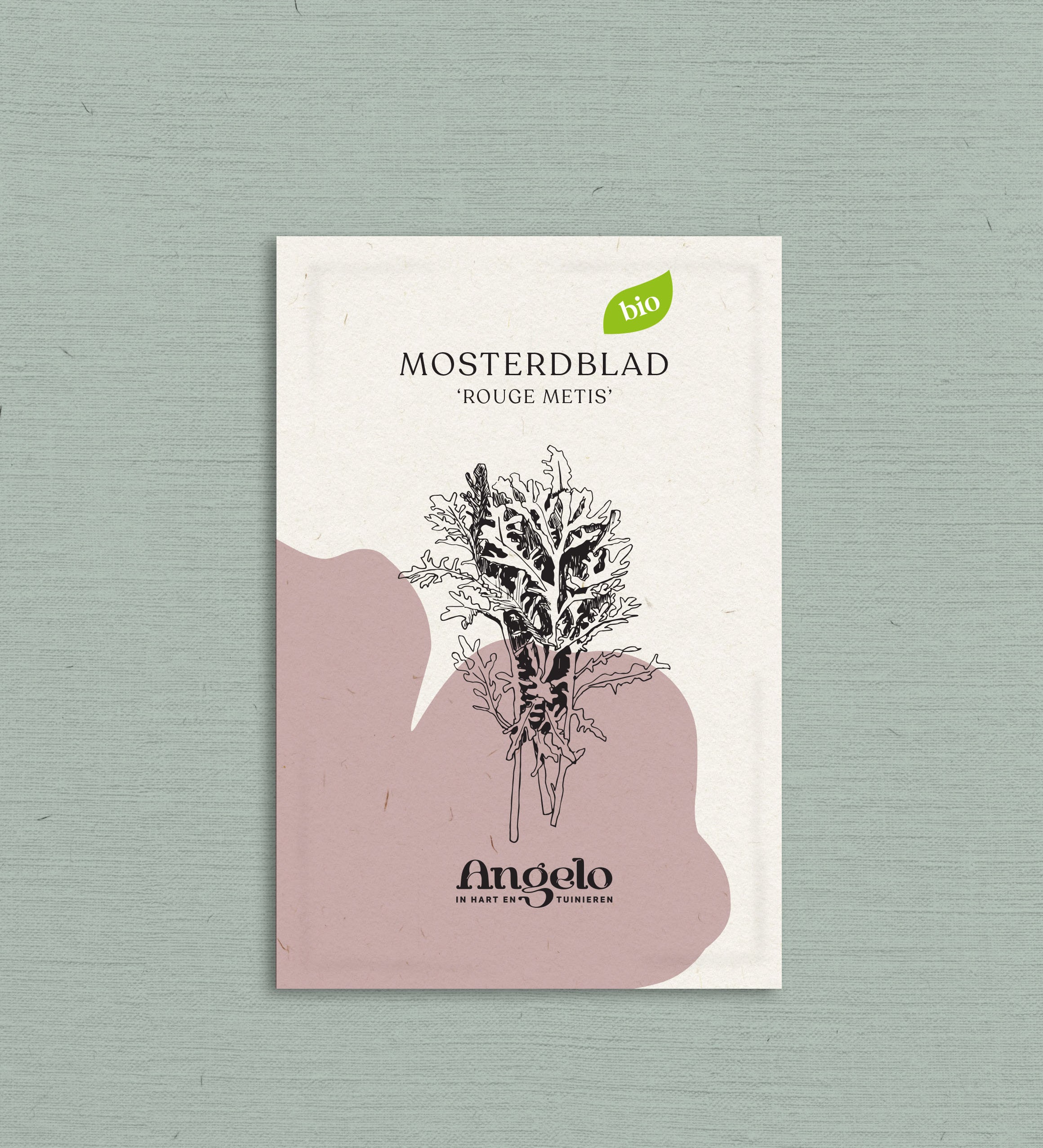 Mosterdblad 'Rouge Metis'-Angelo