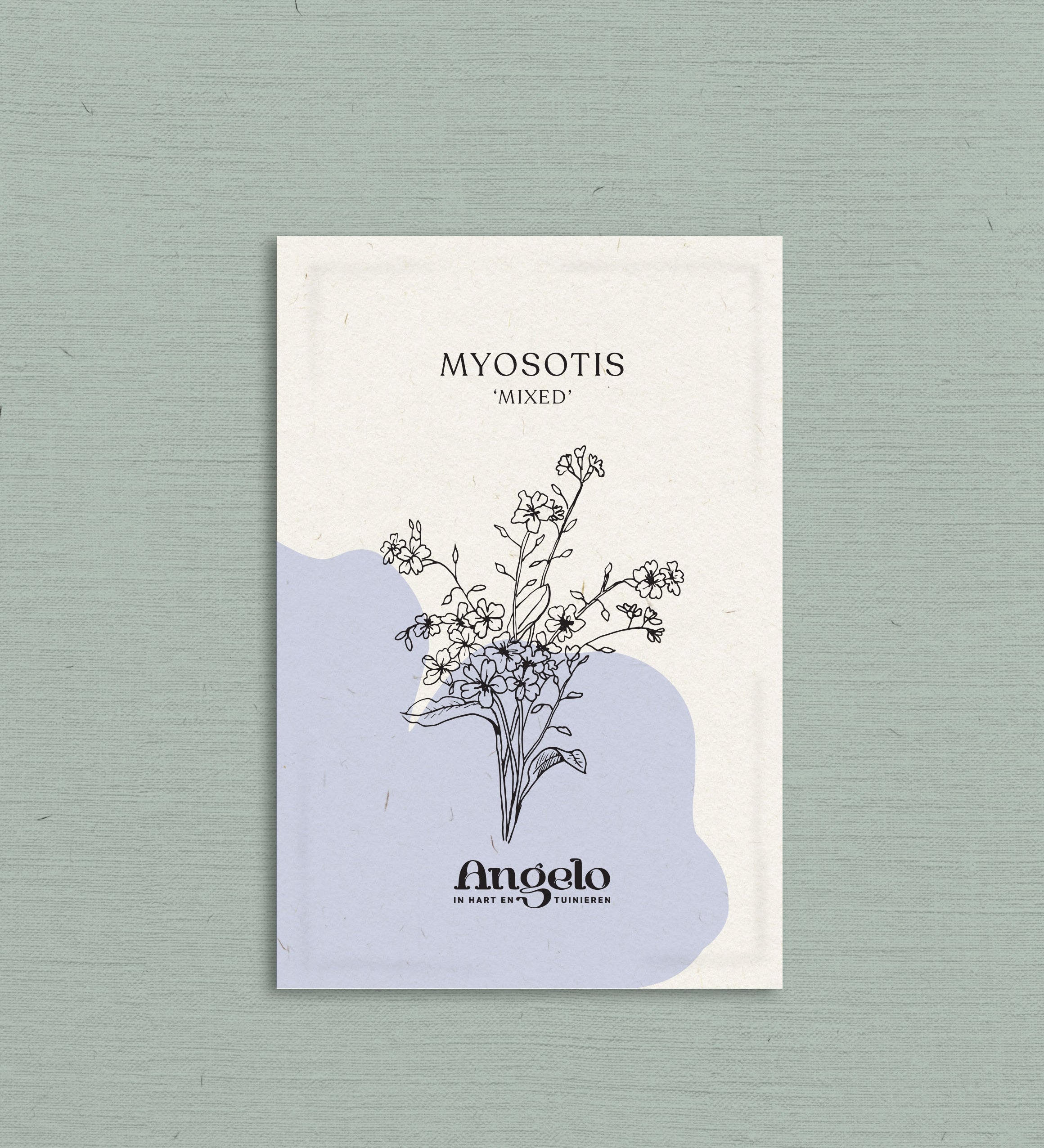 Myosotis alpestris 'mixed'-Angelo