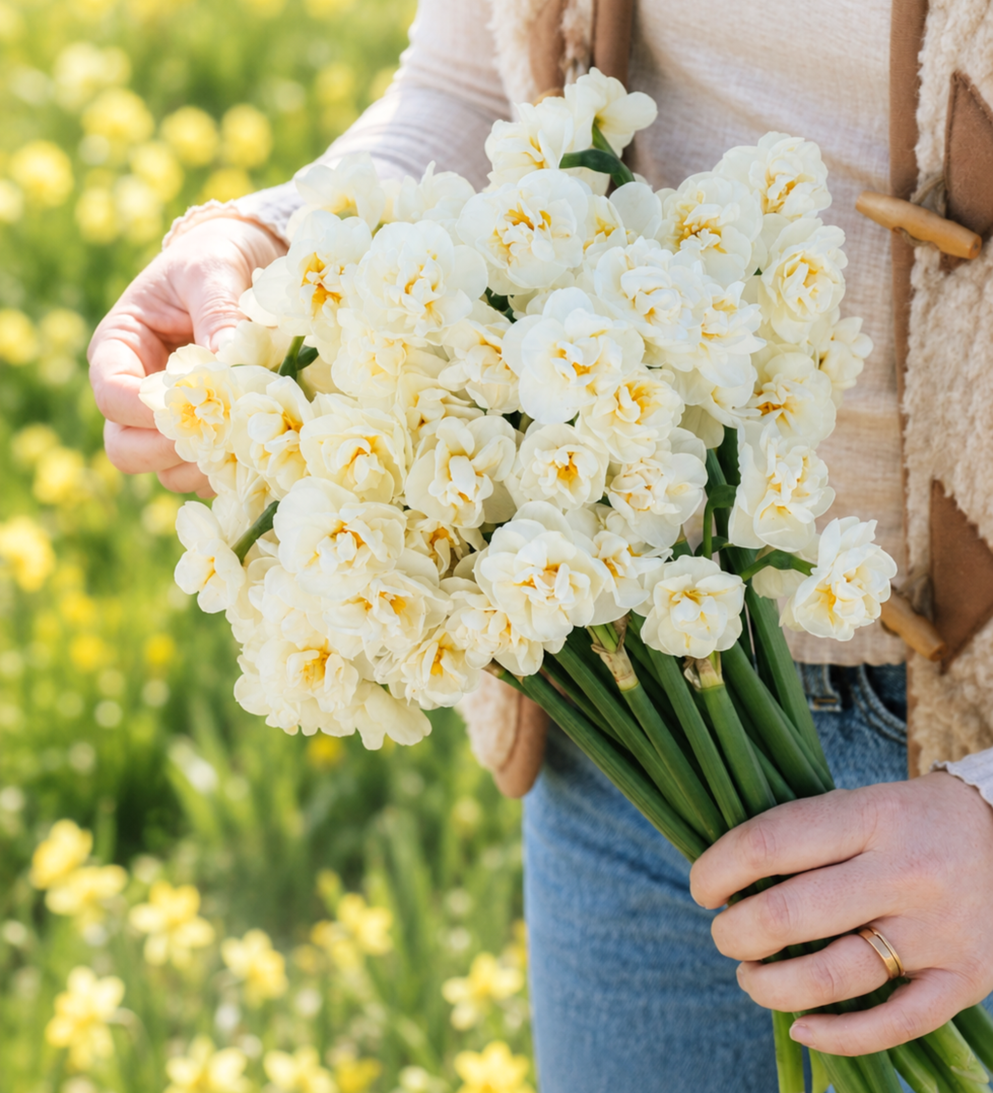 Narcis 'Bridal Crown' BIO