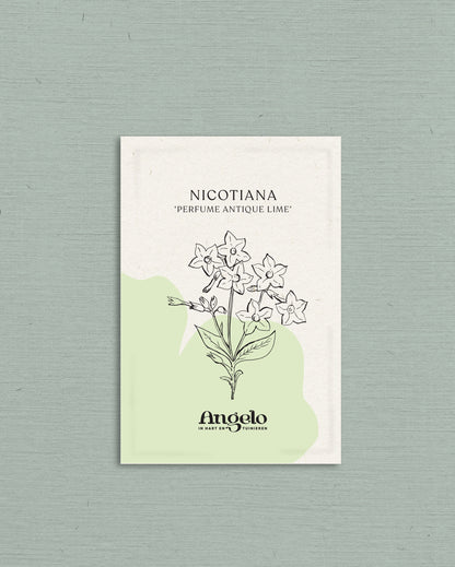 Nicotiana sanderae &