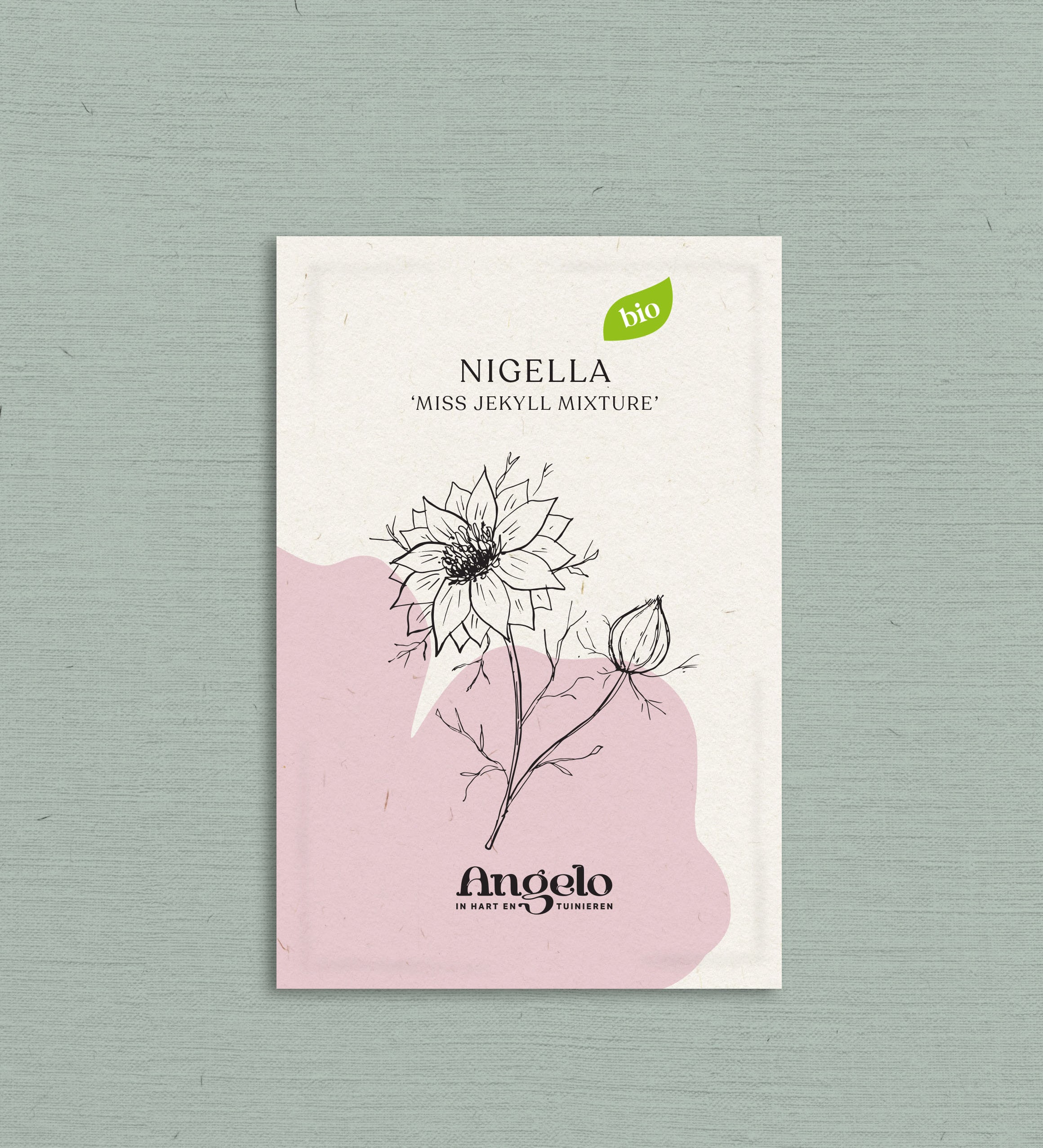 Nigella damascena 'Miss Jekyll Mixture'-Angelo