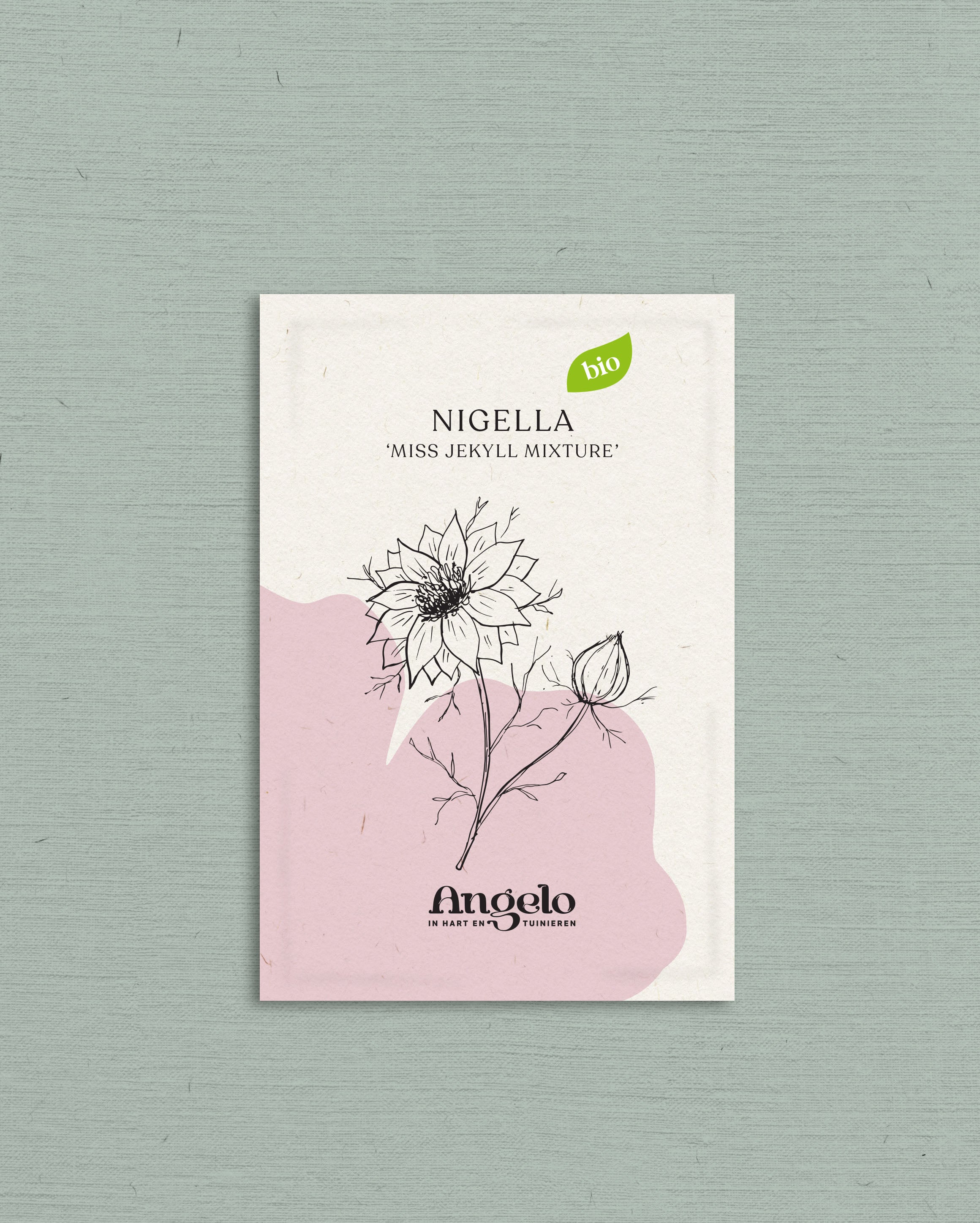 Nigella damascena &