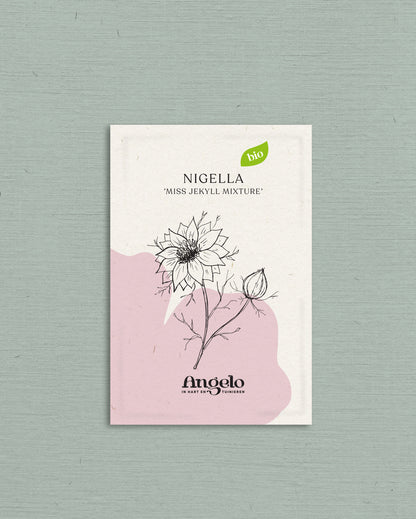 Nigella damascena &