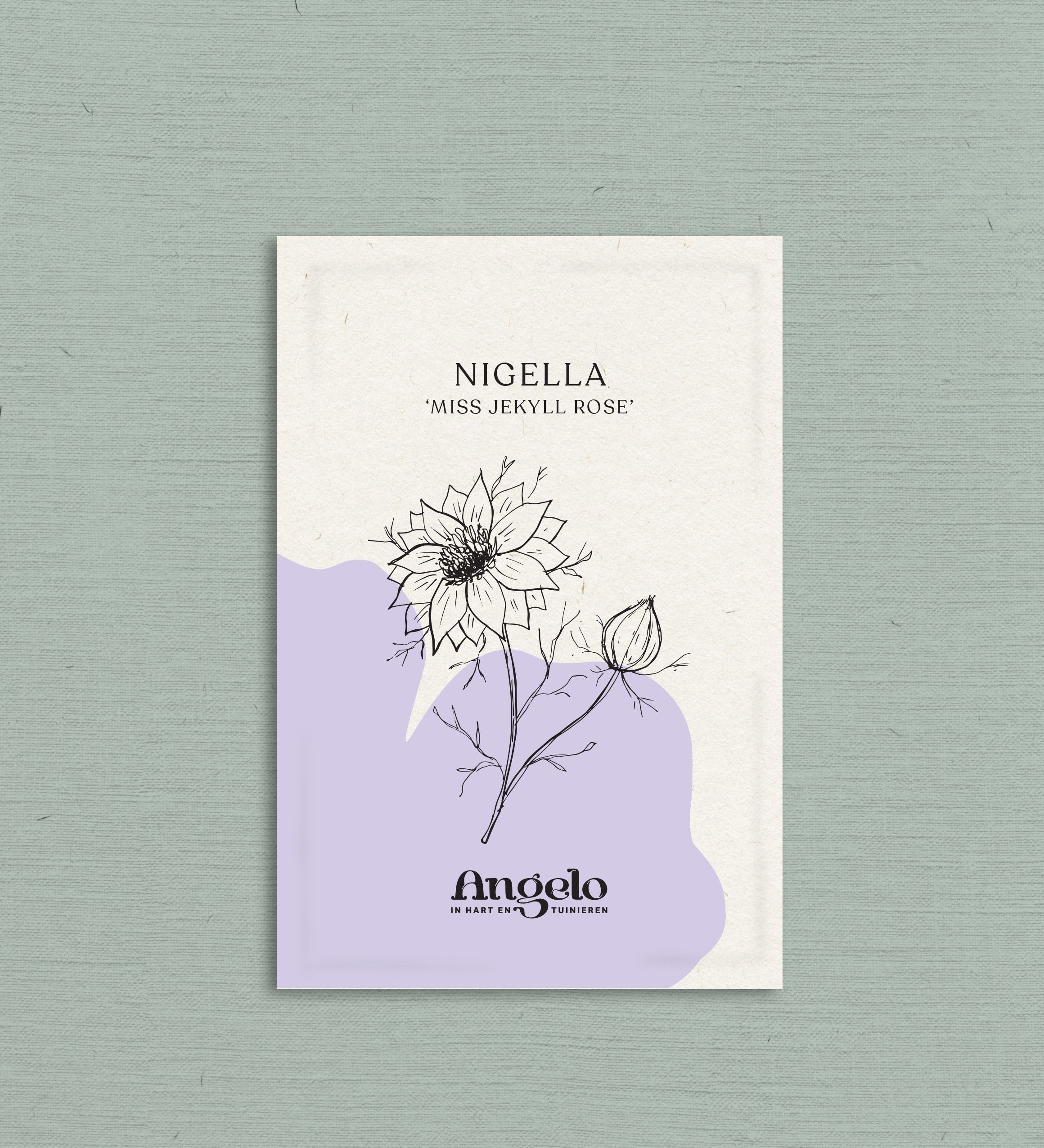 Nigella damascena 'miss jekyll rose'-Angelo
