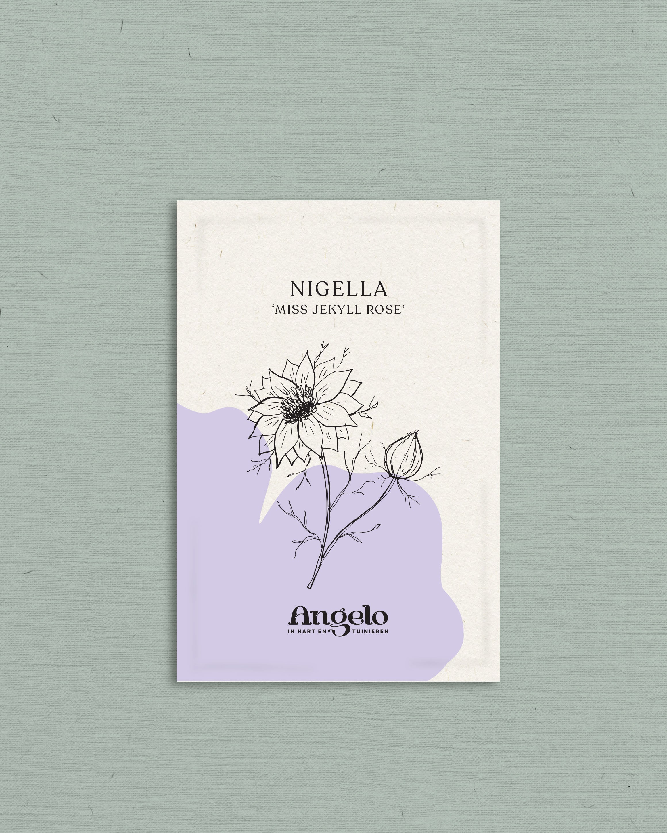 Nigella damascena 'miss jekyll rose'-Angelo