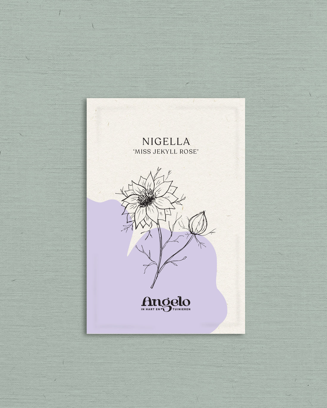 Nigella damascena &
