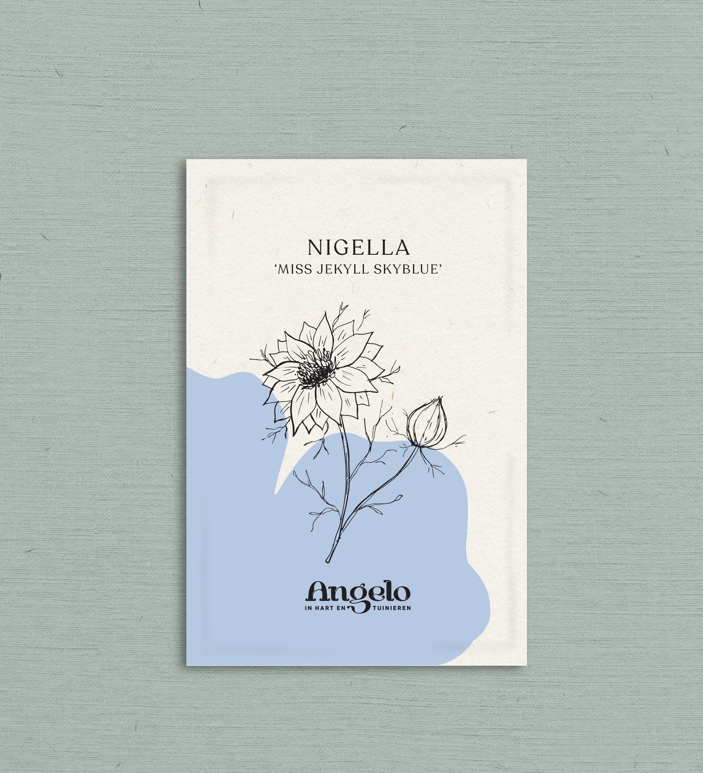 Nigella damascena 'miss jekyll skyblue'-Angelo