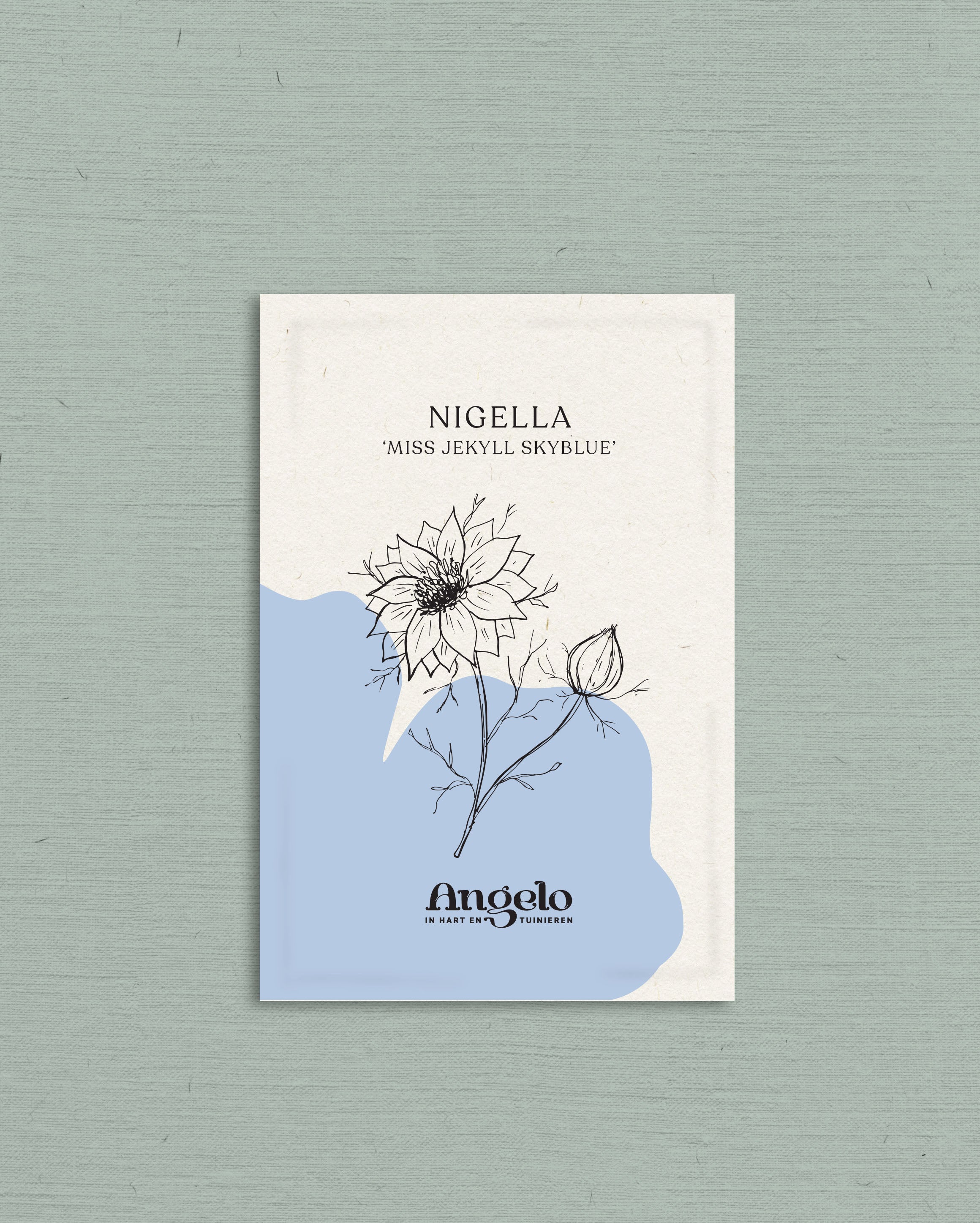 Nigella damascena 'miss jekyll skyblue'-Angelo