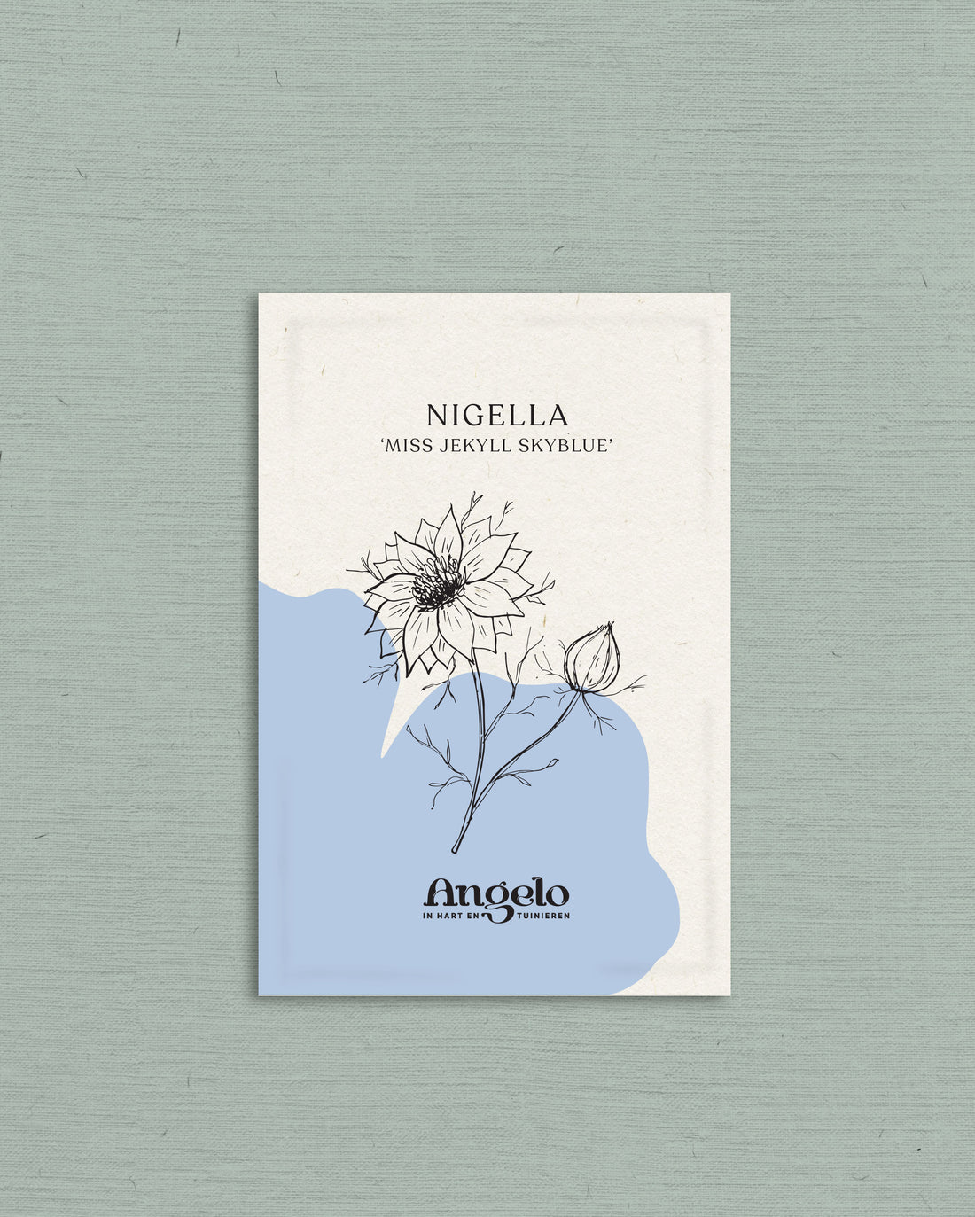 Nigella damascena &