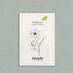 Nigella papillosa 'african bride'-Angelo