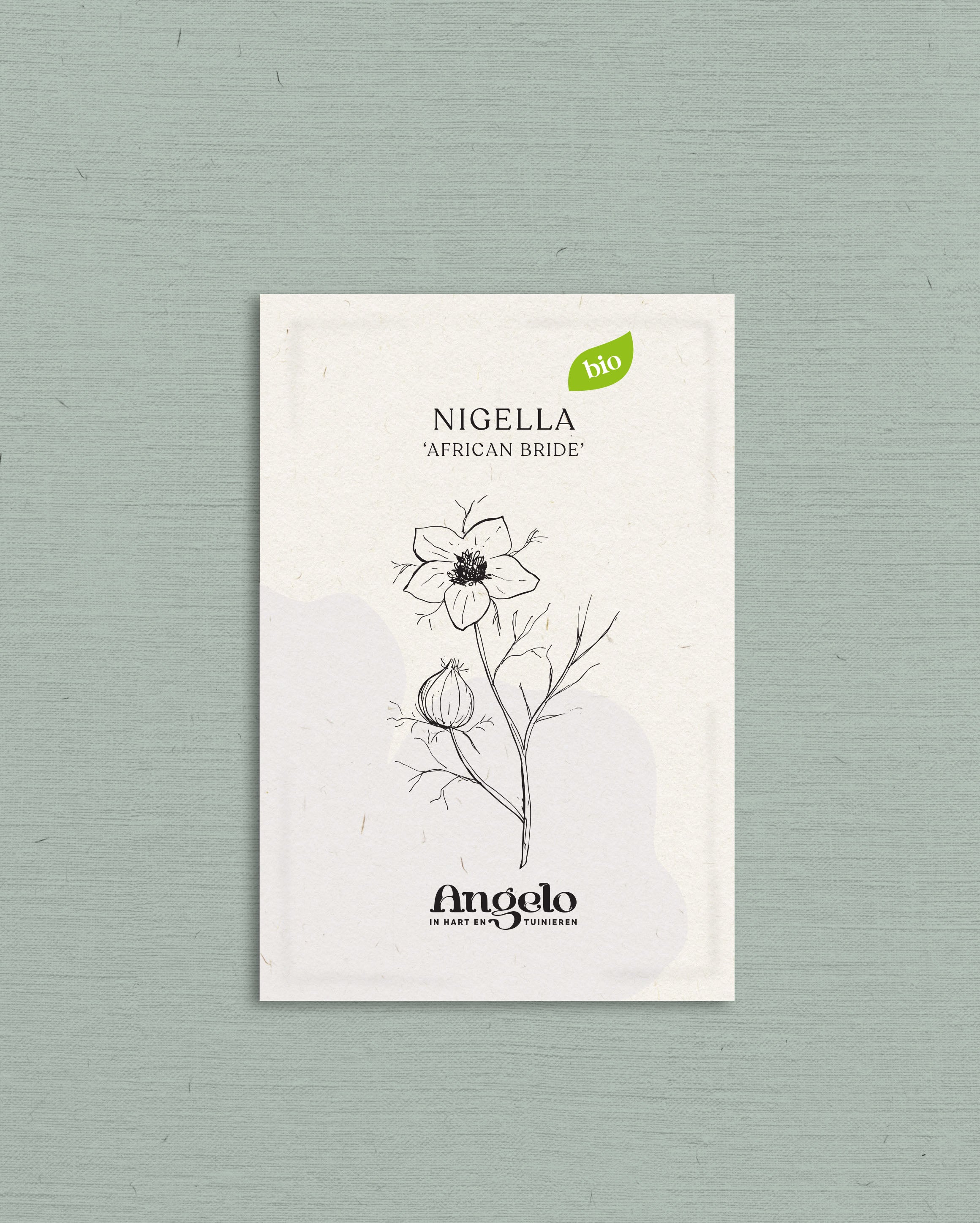 Nigella papillosa &