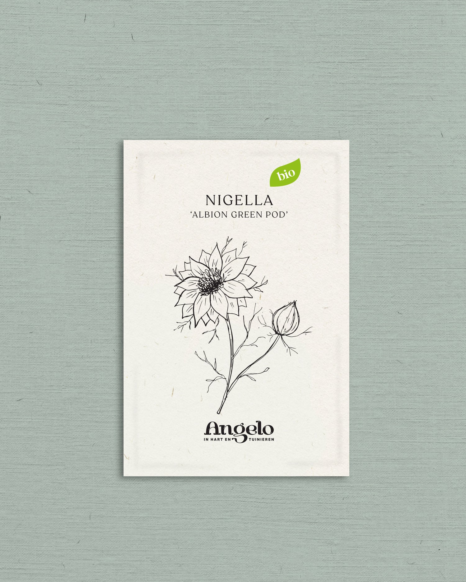 Nigella damascena &