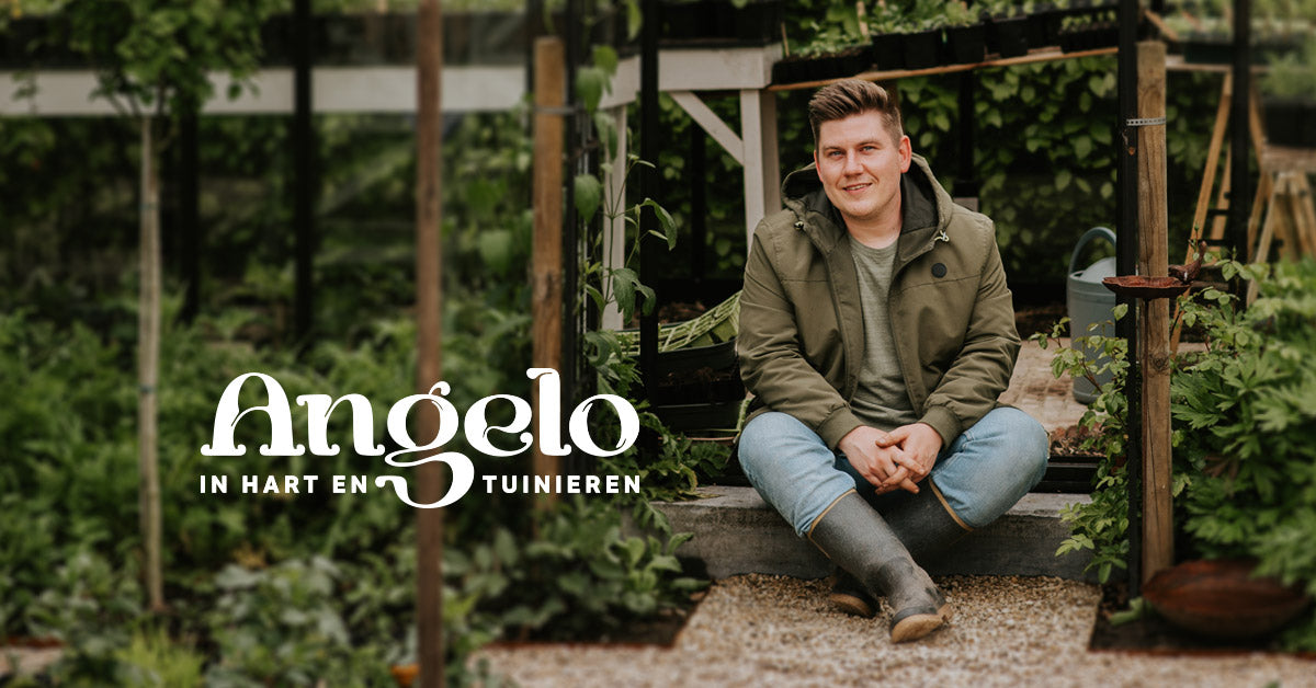 Masterclasses – Angelo