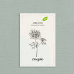 Orlaya grandiflora 'QIS White Finch'-Angelo