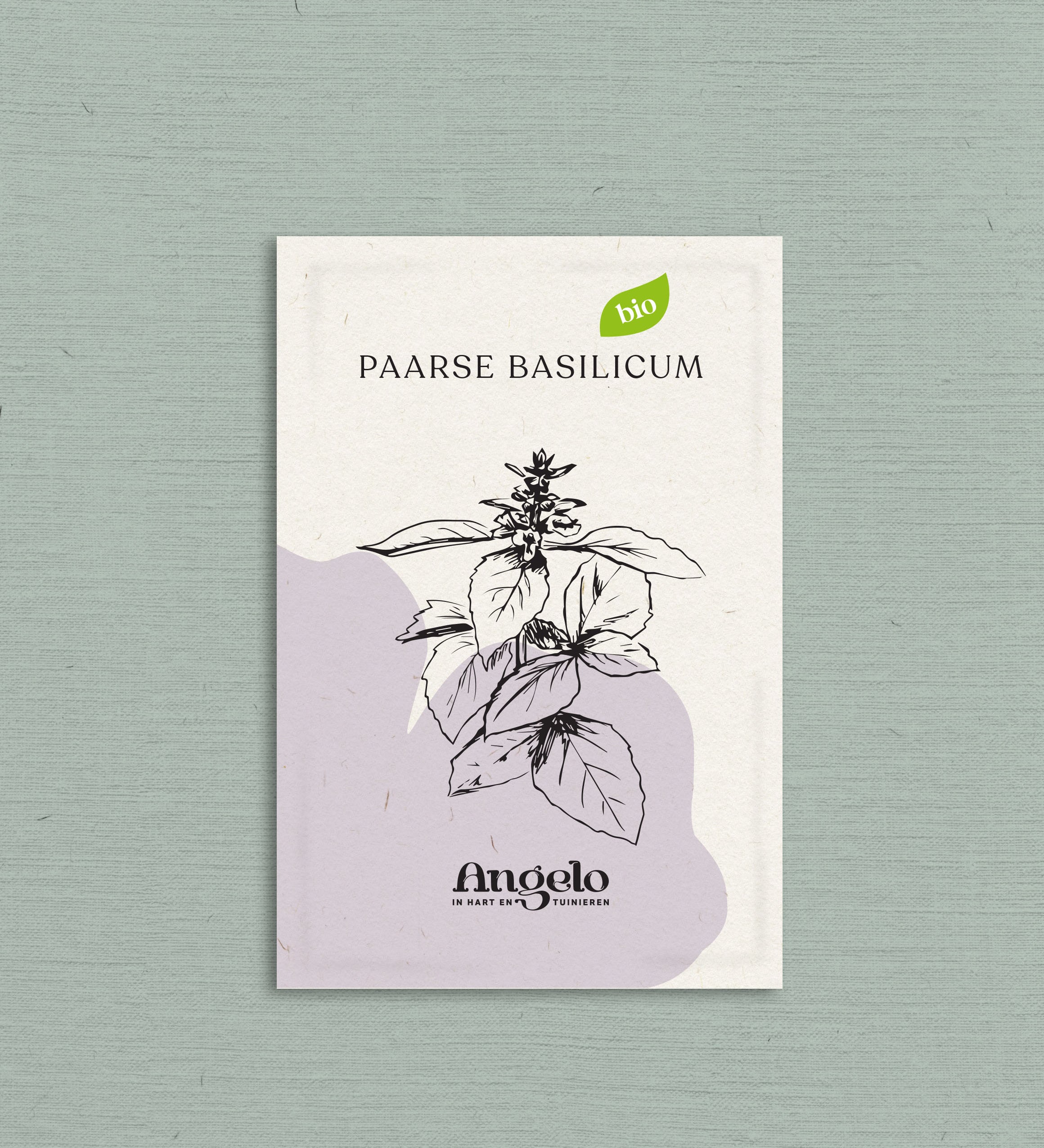 Paarse basilicum-Angelo