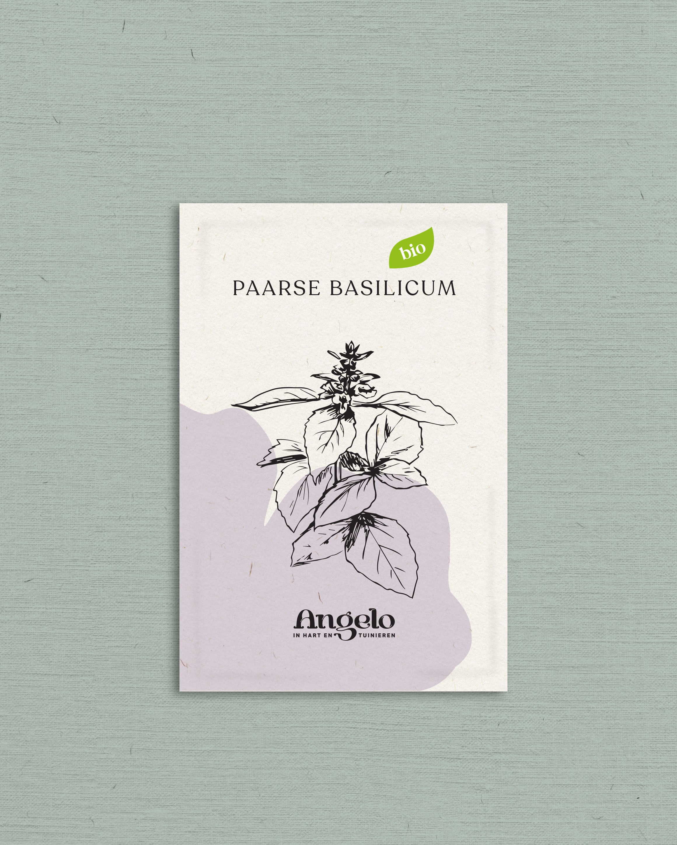 Paarse basilicum-Angelo