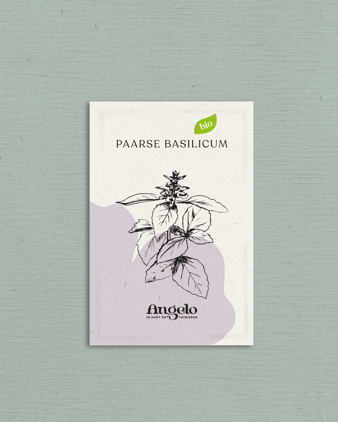 Paarse basilicum-Angelo