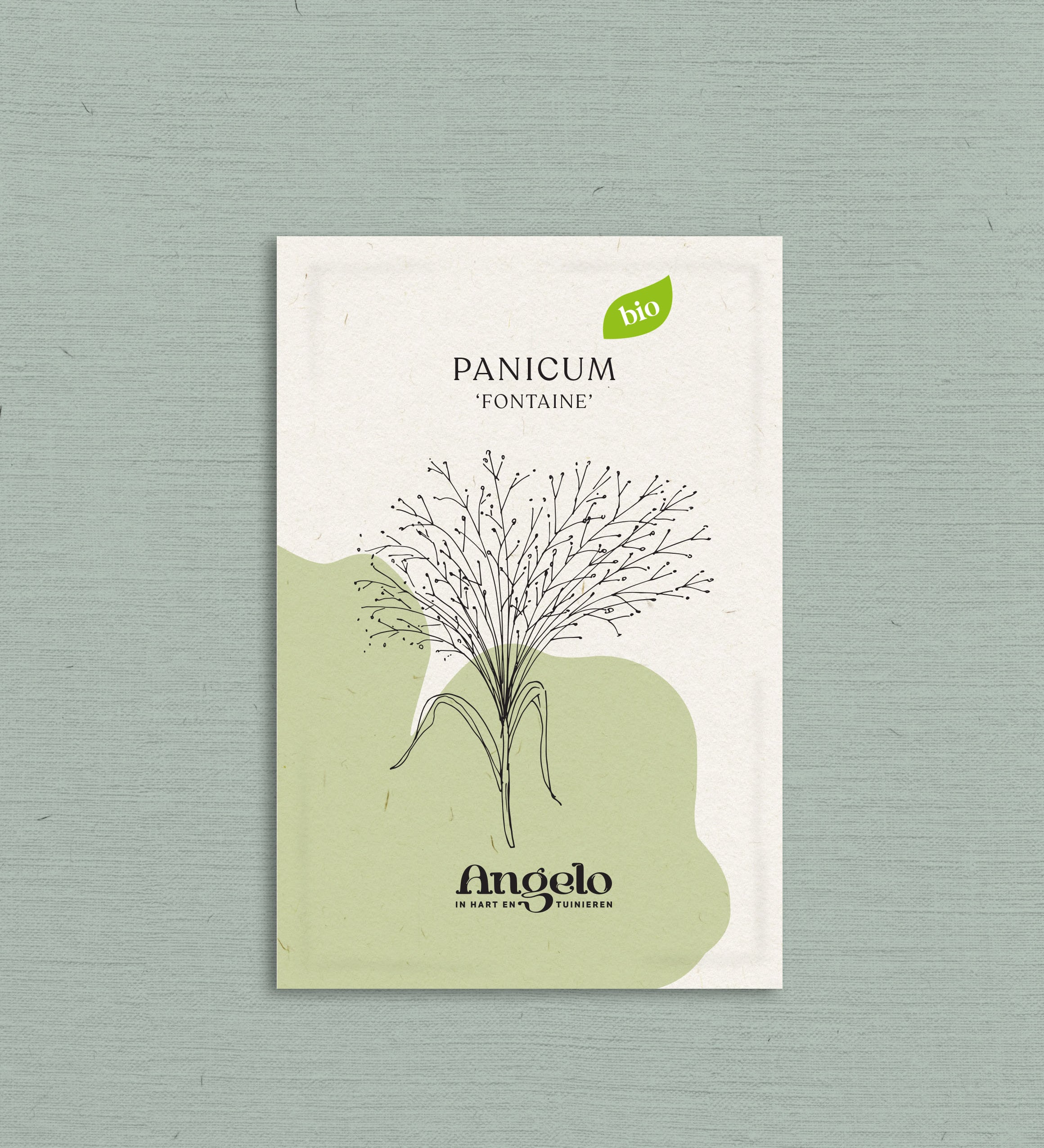 Panicum virgatum 'fontaine'-Angelo