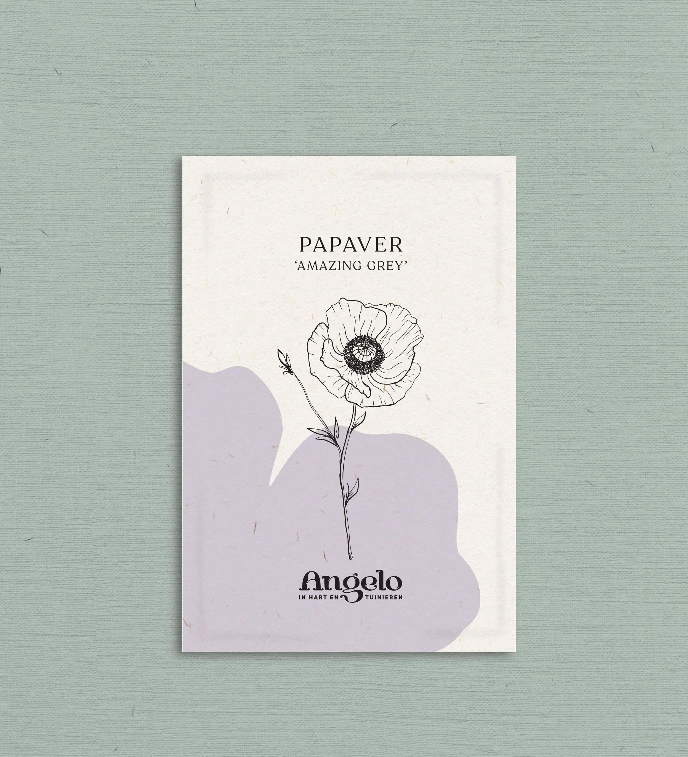 Papaver rhoeas 'Amazing Grey'-Angelo