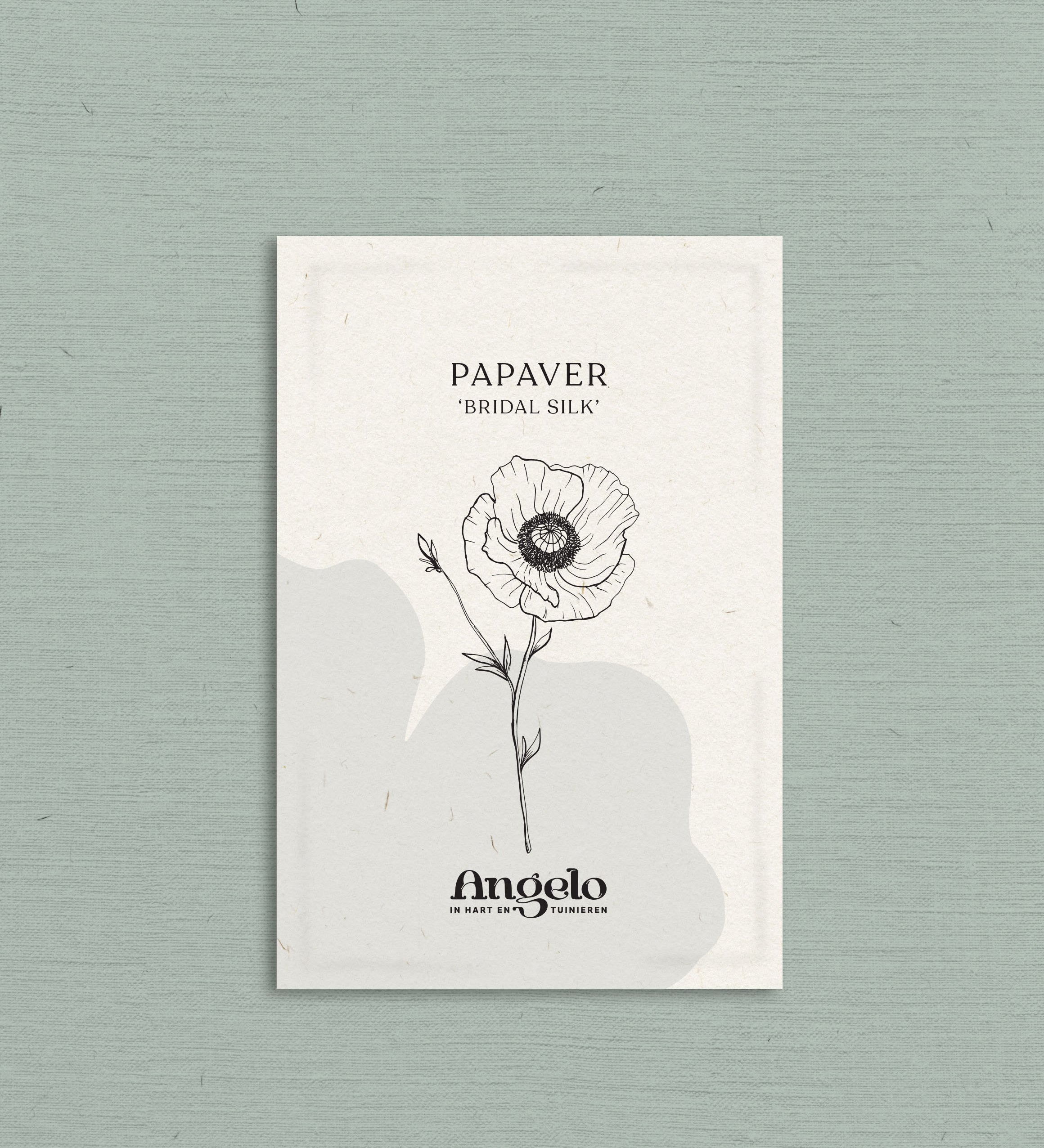 Papaver rhoeas 'Bridal Silk'-Angelo