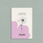 Papaver rhoeas 'mother of pearl'-Angelo