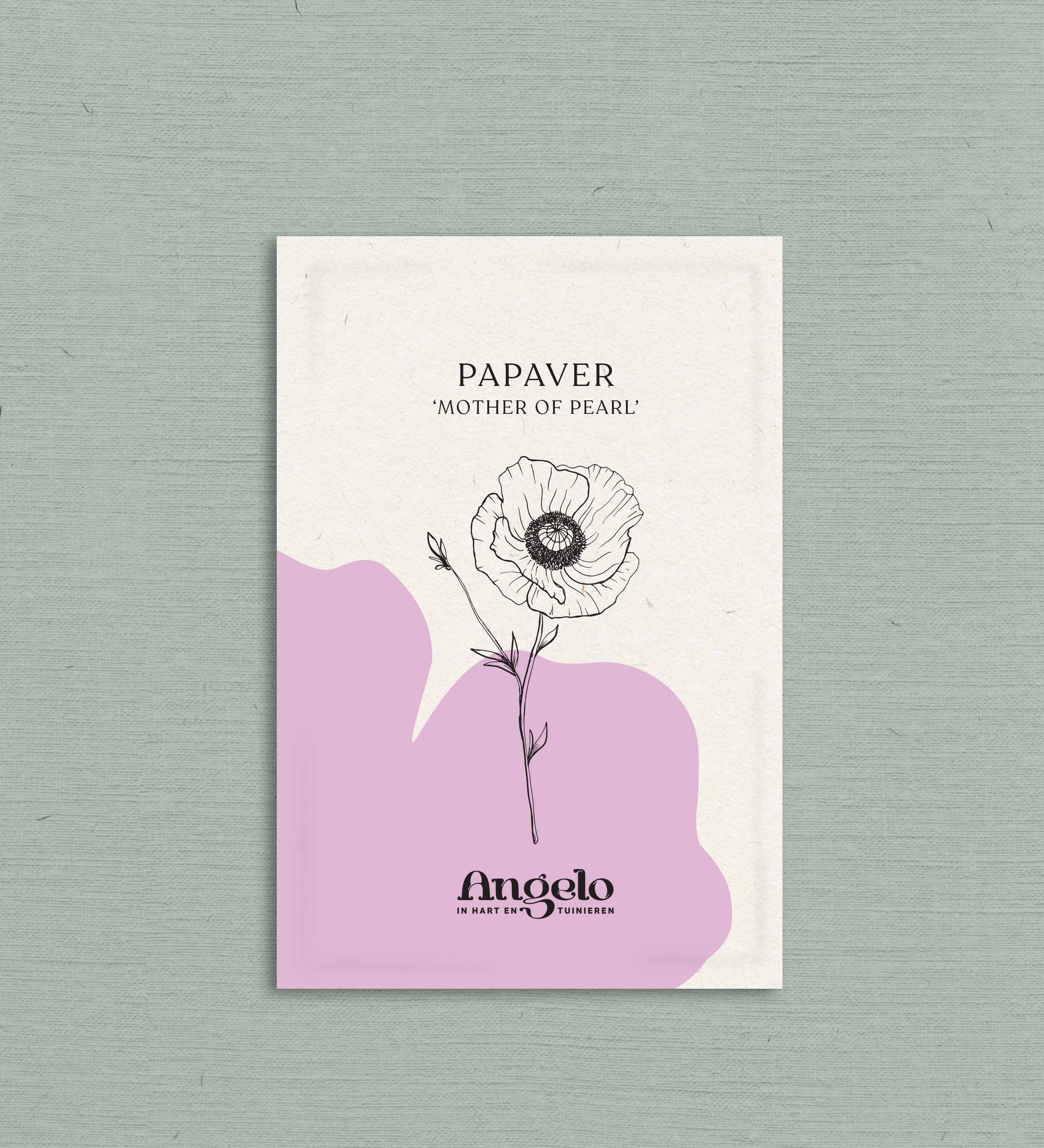 Papaver rhoeas 'mother of pearl'-Angelo