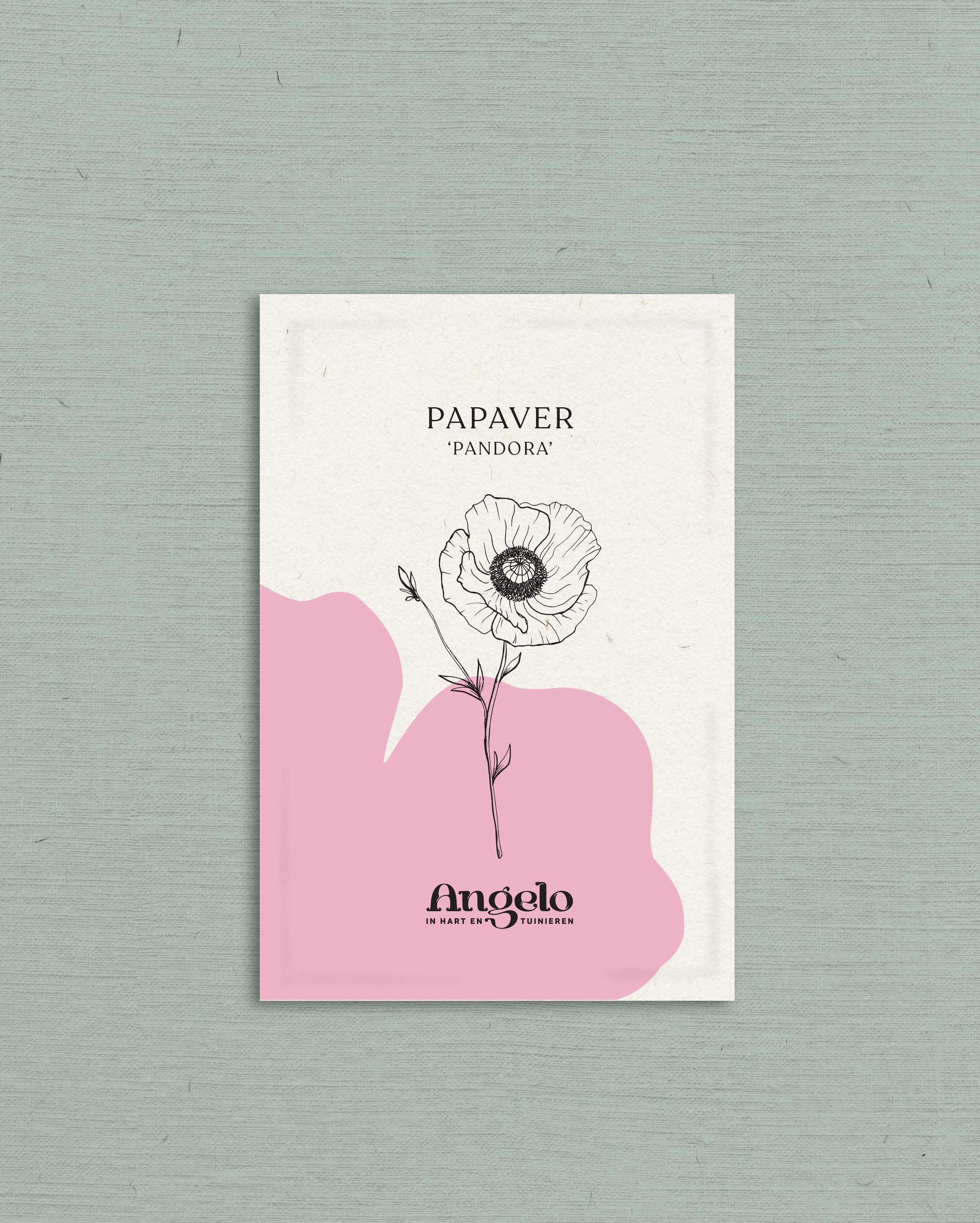 Papaver rhoeas 'pandora'-Angelo